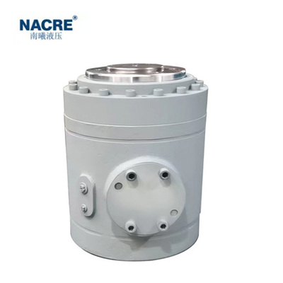 Crane hydraulic cylinder